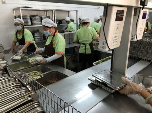 中山市為涉校集體用餐配送單位集中“充電”，筑牢校園食品安全防線